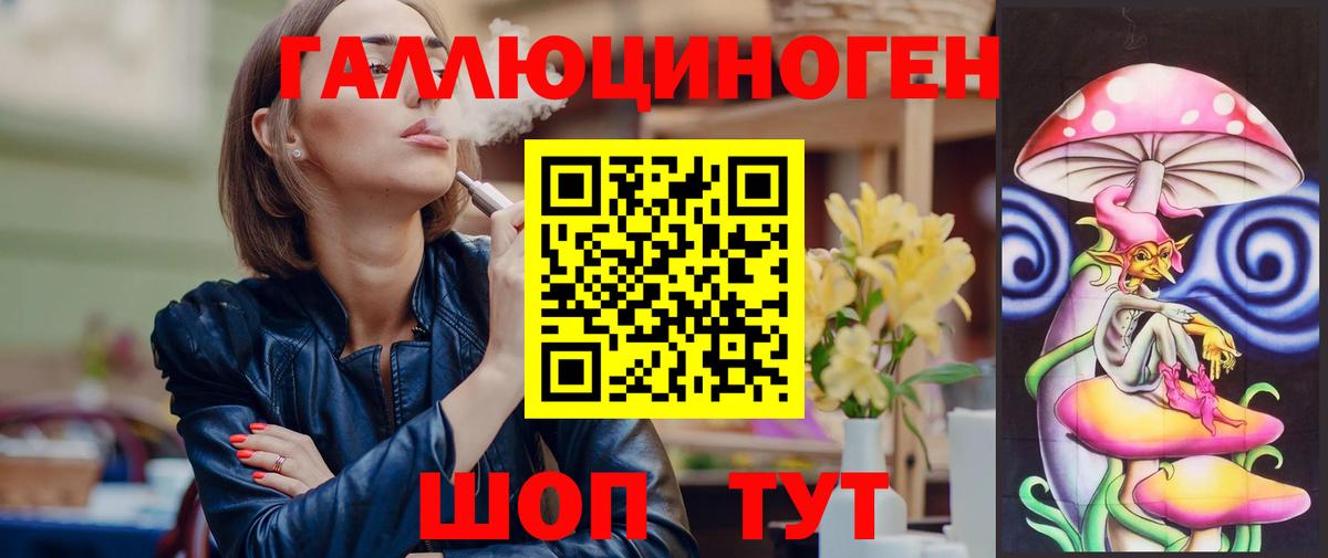 Псилоцибиновые грибы Psilocybe Спасск-Дальний